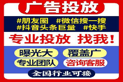竞价托管与SEO结合的案例分析
